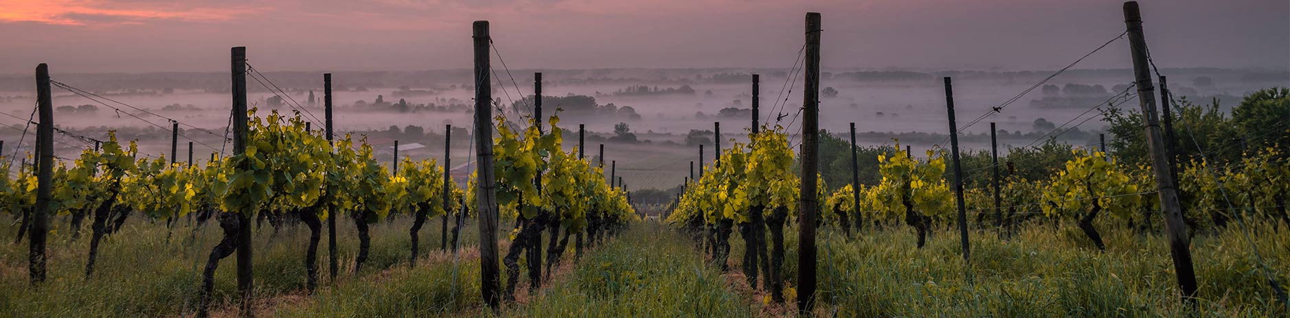 Finca Perales de Valdueza — Mérida, Extremadura