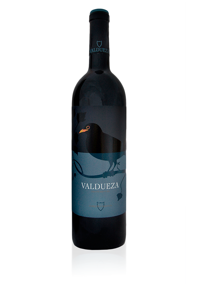 Vino Tinto Valdueza El Pájaro